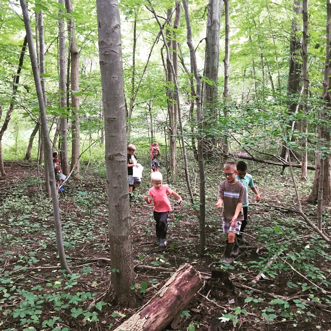 Kids walking in the woods