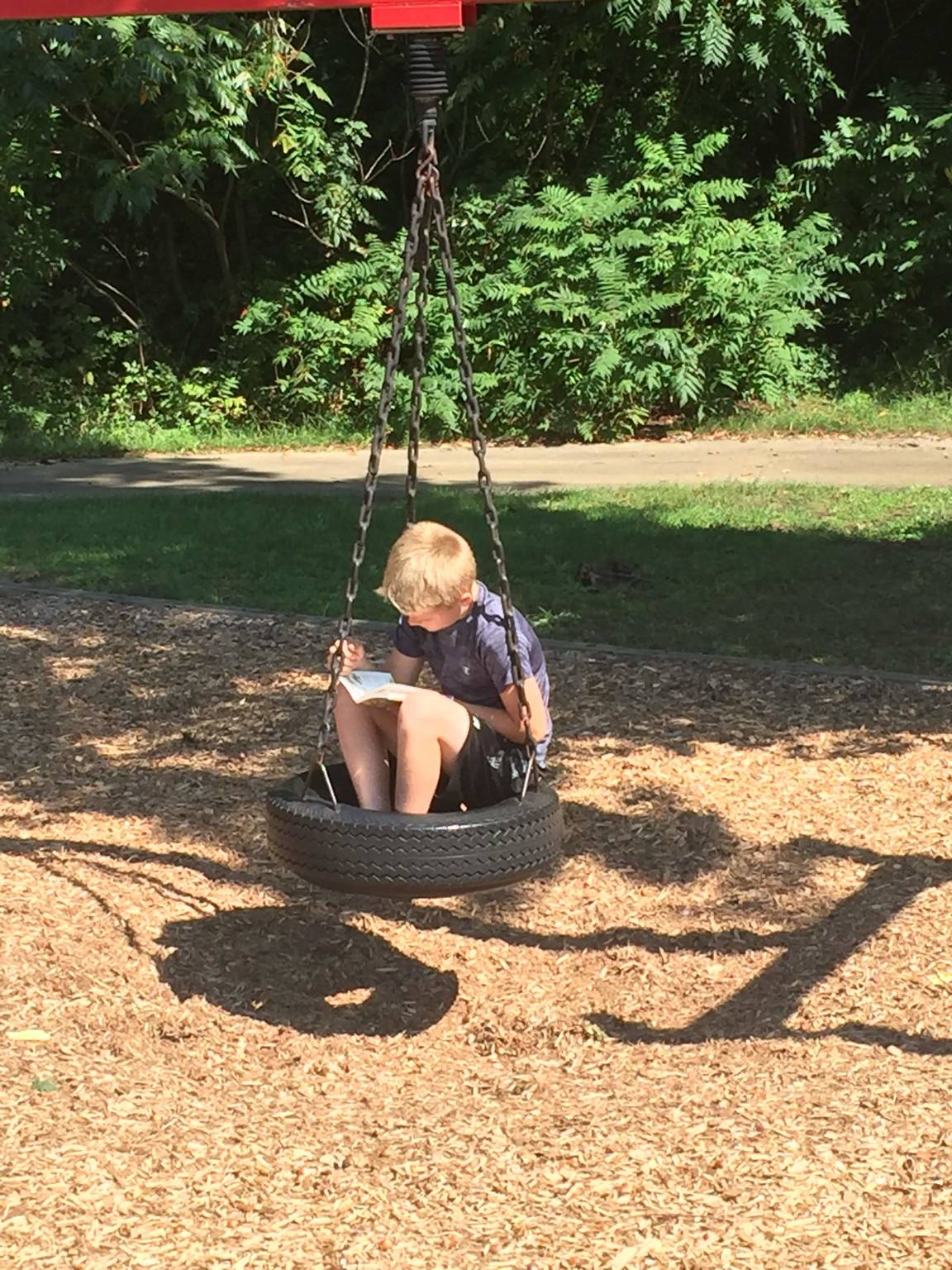Boy Reading in Tire Swing